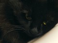 Afrodita encontró su lugar en le baño