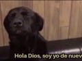 Me estaré volviendo intolerante a la lactosa? 😰😰😰