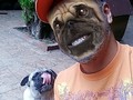 Con mi hermano #Chato en Cuarentena 🐾  @elchatomm . . . . . . . . #RatingMan #elmorenomichael #pug #mascota #perro #caraeperro #cuarentena #40tena #venezuela #puglove