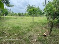 Lote rural cerca a la ciudad de Montería ideal para casa campestre  ✅ Ubicación: Vereda Besito Volao, Corregimiento El Sabanal, Montería a 8mins del casco urbano  ✅ Área: 2.257,10 Mts2  ✅ Impuestos al día listo para traspaso  ✅ Excelentes vías de acceso ✅ Vive con la tranquilidad del campo cerca a la ciudad  ✅ Precio: $80.000 x mt2  ✅ Separa tu cita y conócelo  @elnegociovende  . . . #casas #bienes #propiedades #lotesenventa #inmuebles #fincaraiz #campo #ciudad #monteria #sevende #enventa #bien #inmuebles #sevende