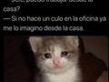 Por qué son así 🤣😏😏😏😭