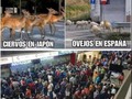 Definitivamente no digo nada más al respecto #yomequedoencasa