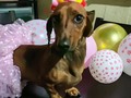 Un añito 💕