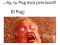 Pinchi Addiel Tanory culey ya déjalo we