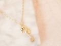 Nueva colección Summer 🦑  Hermosa Cadena caballito de mar . . Para inf. Y precios al DM 💌 +56 953523476 .  Disponible en tienda lacasona ✨  Gral. Holley 134, Providencia .  #loversEM #jewellery #accesories #accesorios #hechoamano #jewlery #accesories #cadenas #collar #bañodeoro #summer