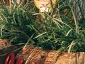 Hakuna matata así hay que vivir... un día a la vez y disfrutando la vida con lo que hacemos. Ame esta propuesta donde Simba fue el protagonista. Les gusto?? #fiestascali #fiestasinfantiles #elreyleon  Contacto 3003132259 Foto @marchcadavidfoto