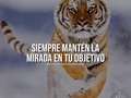 🤩 Si te gustó dale Like y Menciona a alguien que necesite ver este mensaje!👥⁣ #emprendedoresdelexito⁣⁣⁣⁣⁣⁣⁣⁣⁣⁣⁣⁣⁣⁣⁣⁣⁣⁣⁣ ⠀⁣⁣⁣⁣⁣⁣⁣⁣⁣⁣⁣⁣⁣⁣⁣⁣⁣⁣⁣⁣⁣⁣⁣⁣⁣⁣⁣⁣⁣⁣⁣⁣⁣⁣⁣⁣⁣⁣⁣⁣⁣⁣⁣⁣⁣ ↪COMENTA Y COMPARTE↩⁣⁣⁣⁣⁣⁣⁣⁣⁣⁣⁣⁣⁣⁣⁣⁣⁣⁣⁣ ⠀⁣⁣⁣⁣⁣⁣⁣⁣⁣⁣⁣⁣⁣⁣⁣⁣⁣⁣⁣⁣⁣⁣⁣⁣⁣⁣⁣⁣⁣⁣⁣⁣⁣⁣⁣⁣⁣⁣⁣⁣⁣⁣⁣⁣⁣ 💡 Síguenos para ver más!!📚⁣⁣⁣⁣⁣⁣⁣⁣⁣⁣⁣⁣⁣⁣⁣⁣⁣⁣⁣⁣⁣⁣⁣⁣⁣⁣⁣⁣⁣⁣⁣⁣⁣⁣⁣⁣⁣⁣⁣⁣⁣⁣⁣⁣⁣⁣⁣⁣⁣⁣⁣⁣⁣⁣⁣⁣⁣⁣⁣⁣⁣⁣⁣⁣⁣⁣⁣⁣⁣⁣⁣⁣⁣⁣⁣⁣⁣⁣⁣⁣⁣⁣⁣⁣⁣⁣⁣⁣⁣⁣⁣⁣⁣⁣⁣⁣⁣⁣⁣⁣⁣⁣⁣⁣⁣⁣⁣⁣⁣⁣⁣⁣⁣⁣⁣⁣⁣⁣⁣⁣⁣⁣⁣⁣⁣⁣⁣⁣⁣⁣⁣⁣⁣⁣⁣⁣⁣⁣⁣⁣⁣⁣⁣⁣⁣⁣⁣⁣⁣⁣⁣⁣⁣ ✔@EMPRENDEDORESDELEXITO⁣⁣⁣⁣⁣⁣⁣⁣⁣⁣⁣⁣⁣⁣⁣⁣⁣⁣⁣ ⠀⁣⁣⁣⁣⁣⁣⁣⁣⁣⁣⁣⁣⁣⁣⁣⁣⁣⁣⁣⁣⁣⁣⁣⁣⁣⁣⁣⁣⁣⁣⁣⁣⁣⁣⁣⁣⁣⁣⁣⁣⁣⁣⁣⁣⁣ 🔔 Activa las Notificaciones para que no te pierdas nuestro contenido 📲⁣⁣⁣⁣⁣⁣⁣⁣⁣⁣⁣⁣⁣⁣⁣⁣⁣⁣⁣ ⠀⁣⁣⁣⁣⁣⁣⁣⁣⁣⁣⁣⁣⁣⁣⁣⁣⁣⁣⁣⁣⁣⁣⁣⁣⁣⁣⁣⁣⁣⁣⁣⁣⁣⁣⁣⁣⁣⁣⁣⁣⁣⁣⁣⁣⁣ 📷 No copyright infringement intended. All the rights of the photographs are of their respective authors. No profit is sought with this image.⁣⁣⁣⁣⁣⁣⁣⁣⁣⁣⁣⁣⁣