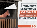 @sebastianmencia ¿Eres apasionado del Marketing Digital?🔥⁣ ⁣ ¿Te gustaría aprender las mejores estrategias de Marketing que están funcionando ahora para romper records de venta en internet?🥇⁣ ⁣ @sebastianmencia es un emprendedor que ha trabajado directamente con algunos de los más grandes referentes del marketing en el mundo.⁣ ⁣ En su cuenta de Instagram aprenderás:⁣ ⁣ ✔️ Estrategias de Marketing Digital.⁣ ⁣ ✔️ Emprendimiento.⁣ ⁣ ✔️ Afiliación.⁣ ⁣ Sigue a 👉 @sebastianmencia para mantenerte al tanto de lo último del Marketing Digital.