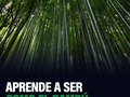 @psgaizka ha generado más de 7 cifras en ventas y te va a revelar todos los secretos para lograr un negocio exitoso.⁣ ⁣ ¿Sabías que puedes vender productos en Amazon y generar una nueva fuente de ingresos desde tú ordenador?⁣ ⁣ ● Descubre cómo escalar y automatizar un negocio que te va a permitir vivir la vida que quieres, sin invertir decenas de miles de dólares en personal o almacén.⁣ ⁣ ● Rodéate de los mejores contactos en china para realizar importaciones.⁣ ⁣ @psgaizka Comparte contenido de valor que permite aprender a vender en Amazon de la forma más práctica y sencilla para que cualquier persona, sin importar su conocimiento, pueda empezar su negocio online.⁣ ⁣ ¿Qué vas a aprender en su perfil?⁣ ⁣ ✅ Primeros pasos para empezar a vender en Amazon.⁣ ⁣ ✅ Encontrar productos ganadores que puedan poner a la venta.⁣ ⁣ ✅ Importación de cualquier tipo de producto y desde cualquier país.⁣ ⁣ ✅ Optimizar su negocio online con diferentes estrategias de publicidad dentro de⁣ Amazon.⁣ ⁣ ✅ Crear un negocio real y consolidado con baja inversión.⁣ ⁣ ✅ Escalar su tienda de Amazon expandiendo a nuevos marketplaces.⁣ ⁣ Síguelo ahora en @psgaizka y aprende cómo puedes empezar tu negocio online.