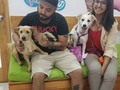 Lo recuerdan? El es CHAMPI lleva con nosotros al rededor de 8 meses, tuvo hemoparasitos, tumor nasal, estuvo moribundo, y renació gracias a su ayuda recuperó su salud, el ha tenido muchos amiguitos perrunos que estuvieron compartiendo con el, se llevaban a todos menos a él, gracias a Dios llegaron estas hermosas personas a su vida, y su historia les tocó el alma, como pueden ver todos en la ve a champi pq el siempre salia a saludar a la gente, y pues todo el mundo feliz despidiéndose dándole las mejores energías! Gracias por siempre lo bueno es que compartirá con otra bebe rescatada, hoy Champi se convierte en nuestro #adoptadosawabona2020 1