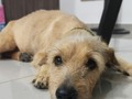 Miren esta belleza 🥰🥰🥰