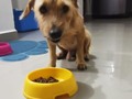 Miren esta belleza 🥰🥰🥰