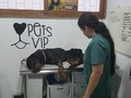 Aquí vamos este es el rescate de THOR, ya estará en buenas manos pídanle a Dios que lo deje vivir para que sepa que es el AMOR VERDADERO, SI DESEAN AYUDARNOS PORFAVOR DONEN bancolombia 55495192058 ahorros o Daviplata 3176687686 voy a compartir con uds en un rato la cuenta del perrito
