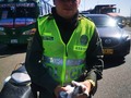 El es un héroe el Patrullero Alfredo Wilches merece el mayor de los reconocimientos en plena cordialidad mejor dicho no le importo se bajó de la moto, exponiéndose a que lo atropellaron para salvar este bebé gatito, y ahí estaba mi esposo viendo todo, y lo heroico que fue, gracias a él, tenemos a el pequeño en custodia y podrá tener una hermosa vida. Si uds lo adoptan es machito y busca un hogar para toda la vida Graaaaaaaacias te mereces el cielo, pq ni todos son iguales 🙌🙌🙌🙌Héroe de la Patría 💓💓💓💓 Si deseas adoptar el gatito escríbenos 3176687686