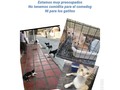 Porfavor estos son unos de los 9 gatitos que tenemos y algunos perritos de Puerto q vienen a comer al comedog diario, quitando los que tenemos refugiados en la vet que son 5, ya no tenos comida sino hasta mañana alguien puede ayudarnos porfavor Sea con concentrado o con algo de dinero a ver que hacemos😞, yo puedo transitar pq soy médico no me dejen sola ahora de 5 mil en 5 mil hacemos algo Meta: conseguir 48 mil pesos para el bulto de gatos Y dos bultos de perro me salen por 150 Dona porfavor bancolombia 55495192058 ahorros o Daviplata y Nequi 3176687686 gracias