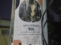 Se busca