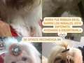 A compartir ❤️😔
