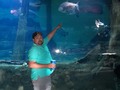 Ese atún pesa como 100 kilos