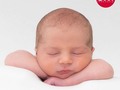 Hola mi nombre es ANDREA VALENTINO ZAMBRANO-D’ISIDORO Acabo de llegar a este mundo de manos De Dios para mis papis que me dan mucho amor, siempre los escucho diciéndome cosas muy hermosas, y me cuidan, y me besan, y me abrazan,y me aprietan, y me alimentan, y juegan siempre conmigo, en fin, estoy muy feliz y me encanta conocerlos a todos . Que gallo es mi papá, está escribiendo cómo si fuera yo, madura papá !!!!!, jajajajajajjajaja. Estoy babeado con mi bebé gracias @okvenezuela por el cariño y a @rafaelarevalophotography por tu lente y tu paciencia, me encantaron las fotos. ・・・ EN EXCLUSIVA, te presentamos a Andrea Valentino, el recién nacido hijo de la actriz y presentadora @wandadisidoro y el productor musical y cantante @enderthomas. El pequeño que tiene solo 12 días de nacido, pesó 3 kg 440 gr y midió 52 cm, llegó al mundo en el Mercy Hospital, el dia 16 de Junio a las 10:05AM. El nombre del pequeño fue escogido por sus padres porque la familia de Wanda, tiene ascendencia italiana donde es común este epónimo, además que por separado, antes de tener relación ambos querían nombrar a su primogénito con este nombre. Los hermosos retratos son realizados por @rafaelarevalophotography en la ciudad de Miami #NoticiasOK#OKExclusiva #OKSociedad #OKVenezuela #NoSalgasDeCasa