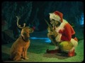 Otra navidad sin ti 🐕