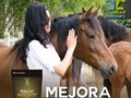 #Repost from @naturalveterinary with @regram.app ... 🥰 No hay mejor forma de demostrarles todo tu cariño que darle la mejor alimentación y cuidado para adecuado desarrollo y performance 🐴 💻  📲+57 3108087676  #NaturalVeterinary #HacemosParteDeTuEquipo #NaturalmenteEfectivo #NaturalGrow #NaturalPower #NaturalCondroflex #NaturalIntegrity #NaturalFertility #Resultados #Caballos #SuplementoEquinos #Potros #Caballista #PasionEquina #AmorPorLosCaballos