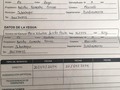 Propietario Jorge Luis Ardila castellanos  Cédula: 1.097.332.303 Whasatp 3133704601  Pedido: 15 millones negociables millones  Ubicación: Bogotá  Edad: 58 meses Potranca  Papeles: reporte de monta Garantias: sana de todo muy movida, grande, la.mas patuda rápida definida
