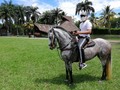 La Cuarentena es mejor al lomo de un caballo @juandiegocr100 @juandiegocr100 @juandiegocr100