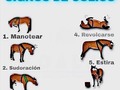 BUENOS DÍAS!!! EMPEZAMOS EL DÍA CON UNA IMAGEN EDUCATIVA... EL COLICO . .  IMAGEN @reino_equino