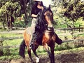 Feliz día  @jalahorses