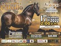 🐴¡Por que ustedes lo pidieron, aquí volvemos!🐴  Por el éxito rotundo de nuestra tradicion. 🐴Gran desfile a caballo🐴 por sus principales vías, el municipio de YOTOCO nos acoge para disfrutar de este magno evento.   ¡Ensillen y los esperamos! Sábado 17 de Diciembre de 2022🐴  Valor Manilla 60.000 pesos  Info: 3167347697 3218021323  100% urbano....