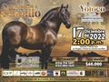 ATENCION LO QUE ESTABAN ESPERANDO!!!!