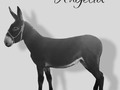 Hija de Burro pinto x Burra negra fina preñada de silvestre Burro Pinto . . 🚚FACILITAMOS TRANSPORTE 🚚 ✅EL PORTAL DE LOS MEJORES✅ . 📞 INFOWHATSAPP 3185400961📱 . #troteygalopecombiano #colombiano #horses #caballo #cavalo #pasofinocolombiano #virales #pasofinohorse #pasofino #trochapura #troteygalope #trachaygalope #fedequinas #colombia #competencia #horseshow #horsesofistagram #colombiaequina #caballo_criollo_colombiano #calicolombia #caballosantioquia #caballoscundinamarca #cabalgatascolombia #cabalga