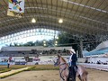 Categoría: TROCHA PURA - HEMBRAS 48 a 60 meses🐎   Primer puesto: Alondra Santana 🐎  Segundo puesto: Estocada de Alambique 🐎  Tercer puesto: Freya de los Juanitos 🐎  Cuarto puesto: Gitano de Villa Salomé 🐎  Gracias a los participantes por presentarse 🐎🤩  Esto continuaaa 🤩  #caballo #caballista #caballistasdecorazon #colombia #tulua #valledelcauca #equinos #caballocolombiano #criaderos #festival #campeonato