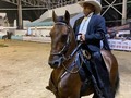 Categoría: TROCHA PURA - MACHOS 78 meses🐎   Primer puesto: R.E de los Meyos 🐎  Segundo puesto: Pique de la Española 🐎  Tercer puesto: Rolex de Ingeza 🐎  Cuarto puesto: Príncipe del Encanto del Oasis 🐎  Quinto puesto: Yurumalito del Tesoro🐎  Gracias a los participantes por presentarse 🐎🤩  Esto continuaaa 🤩  #caballo #caballista #caballistasdecorazon #colombia #tulua #valledelcauca #equinos #caballocolombiano #criaderos #festival #campeonato