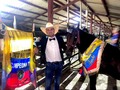 Mañana Continuaremos con trocha y Galope y Trote y Galope! . . #troteygalopecombiano #colombiano #horses #caballo #cavalo #pasofinocolombiano #virales #pasofinohorse #pasofino #trochapura #troteygalope #trachaygalope #fedequinas #colombia #competencia #horseshow #horsesofistagram #colombiaequina #caballo_criollo_colombiano #calicolombia #caballosantioquia #caballoscundinamarca #cabalgatascolombia #cabalga