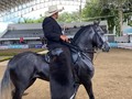 Categoría: TROCHA Y GALOPE - CAMPEONATO POTRANCAS JÓVENES 36 a 48 meses 🐎  ⭐️ Campeona: Venus Victoria del Ensueño.   ⭐️ Primer puesto: Especial de los Juanitos.   ⭐️ Segundo puesto: Kiara de la Joyita.   ⭐️ Tercer puesto: Victoria.   ⭐️ Cuarto puesto: Tedesca del Cortijo de Santa Bárbara.  Gracias a todos los participantes por asistir 🐎   Continuaremos con trocha y Galope y Trote y Galope!🌟 . . #troteygalopecombiano #colombiano #horses #caballo #cavalo #pasofinocolombiano #virales #pasofinohorse #pasofino #trochapura #troteygalope #trachaygalope #fedequinas #colombia #competencia #horseshow #horsesofistagram #colombiaequina #caballo_criollo_colombiano #calicolombia #caballosantioquia #caballoscundinamarca #cabalgatascolombia #cabalga