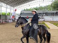 Categoría: TROCHA Y GALOPE - CAMPEONATO POTRANCAS JÓVENES 36 a 48 meses 🐎  ⭐️ Campeón: Judas de la Cantaleta   ⭐️ Primer puesto: Don Siete   ⭐️ Segundo puesto: Gaifas de Celsa  ⭐️ Tercer puesto: Arion   Gracias a todos los participantes por asistir 🐎   Continuaremos con trocha y Galope y Trote y Galope!🌟 . . #troteygalopecombiano #colombiano #horses #caballo #cavalo #pasofinocolombiano #virales #pasofinohorse #pasofino #trochapura #troteygalope #trachaygalope #fedequinas #colombia #competencia #horseshow #horsesofistagram #colombiaequina #caballo_criollo_colombiano #calicolombia #caballosantioquia #caballoscundinamarca #cabalgatascolombia #cabalga