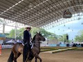 Categoría: TROTE Y GALOPE - HEMBRAS DE 48 a 60 meses 🐎  ⭐️ Primer puesto: Guadalupana de los Maderos.   Gracias a todos los participantes por asistir 🐎   Continuaremos con trocha y Galope y Trote y Galope!🌟 . . #troteygalopecombiano #colombiano #horses #caballo #cavalo #pasofinocolombiano #virales #pasofinohorse #pasofino #trochapura #troteygalope #trachaygalope #fedequinas #colombia #competencia #horseshow #horsesofistagram #colombiaequina #caballo_criollo_colombiano #calicolombia #caballosantioquia #caballoscundinamarca #cabalgatascolombia #cabalga