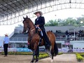 Categoría: TROTE Y GALOPE - MACHOS DE 48 a 60 MESES 🐎  ⭐️ Primer puesto: Milagroso de las Palmeras.   ⭐️ Segundo puesto: Vendeval de los Cedros.   ⭐️ Tercer puesto: Gasel del Chacal   ⭐️ Cuarto puesto: Orinoco de Villa Manuela.   ⭐️ Quinto puesto: Athia.   Gracias a todos los participantes por asistir 🐎   Continuaremos con trocha y Galope y Trote y Galope!🌟 . . #troteygalopecombiano #colombiano #horses #caballo #cavalo #pasofinocolombiano #virales #pasofinohorse #pasofino #trochapura #troteygalope #trachaygalope #fedequinas #colombia #competencia #horseshow #horsesofistagram #colombiaequina #caballo_criollo_colombiano #calicolombia #caballosantioquia #caballoscundinamarca #cabalgatascolombia #cabalga