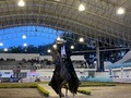 Categoría: TROTE Y GALOPE - HEMBRAS DE 60 a 78 MESES 🐎  ⭐️ Primer puesto: Luz Bendita de Yarumalito.   ⭐️ Segundo puesto: Dulzura de los Meyos.   ⭐️ Tercer puesto: Traviesa de San Miguel.   Gracias a todos los participantes por asistir 🐎   Continuaremos con trocha y Galope y Trote y Galope!🌟 . . #troteygalopecombiano #colombiano #horses #caballo #cavalo #pasofinocolombiano #virales #pasofinohorse #pasofino #trochapura #troteygalope #trachaygalope #fedequinas #colombia #competencia #horseshow #horsesofistagram #colombiaequina #caballo_criollo_colombiano #calicolombia #caballosantioquia #caballoscundinamarca #cabalgatascolombia #cabalga