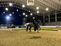 Categoría: TROTE Y GALOPE - HEMBRAS MAYORES 78 MESES 🐎  ⭐️ Primer puesto: CLEOPATRA DE RAFAELITA.   ⭐️ Segundo puesto: FORTUNA DE LA PESEBRERA OCAÑA.   ⭐️ Tercer puesto: FORTUNA DE SAN JUAN.   ⭐️ Cuarto puesto: EMPERATRIZ.   ⭐️ Quinto puesto: SOLEDAD JJ.   Gracias a todos los participantes por asistir 🐎   Continuaremos con trocha y Galope y Trote y Galope!🌟 . . #troteygalopecombiano #colombiano #horses #caballo #cavalo #pasofinocolombiano #virales #pasofinohorse #pasofino #trochapura #troteygalope #trachaygalope #fedequinas #colombia #competencia  #caballo #caballista #caballistadecorazon #colombia #valledelcauca #tulua #competencia #pasofino #trochaygalope #troteygalope #equinos #criaderosdecaballos #antioquia #quindio #feriaequina #asdesilla #criaderos #caballocolombiano