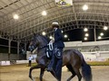Categoría: TROTE Y GALOPE - GRAN CAMPEONATO HEMBRAS 🐎  ⭐️ Gran Campeón: Guadalupana de los Maderos.   ⭐️ Gran Campeón Reservado: Luz Bendita de Yermalito.   ⭐️ Primer puesto: Cleopatra de Rafaelita.   ⭐️ Segundo puesto: Dulzura de los Meyos.   Gracias a todos los participantes por asistir 🐎   #caballo #caballista #caballistadecorazon #colombia #valledelcauca #tulua #competencia #pasofino #trochaygalope #troteygalope #equinos #criaderosdecaballos #antioquia #quindio #feriaequina #asdesilla #criaderos #caballocolombiano