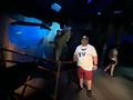 2023-07-08 03:47:25