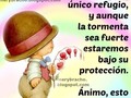 en Coviefi