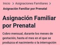 Me embarazo cobro y cuando ya me aburra aborto qué bello de verdad Argentina qué pasa (en Coviefi)
