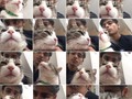 Mi rollo fotográfico cada vez que me encuentro con mi michi