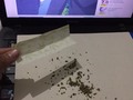 Será que si cabe todo esto en este cuero? Hajajaa