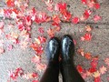 Rainy day here! @hunterboots #AlpakaStyle #hunter #hunterboots #rain #autumn #leafs #color #colorful #november #nofilter #beautiful #cute #picoftheday #photographer #photooftheday #ins #instagood #all_shots #instagram #rainyday #love #fall