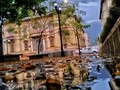 #Abr14 #Mérida #PalacioArzobispal #Lluvia #PalodeAgua #HojasMuertas #BuenaFoto #BuenFotografo