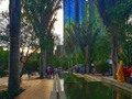 El centro tiene lo suyo! 📷 #evanyei77 . . . . . . . . . . . . . . . . . . . . . . . . #tree #sky #botany #daytime #majorelleblue #wilderness #art #morning #tourism #waterway #woodyplant #city #park #spring #pond #river #plant #walkway #leisure #reflectingpool #lake #world #touristattraction #skyscraper #building #salidasfotograficascol #cityscape #city